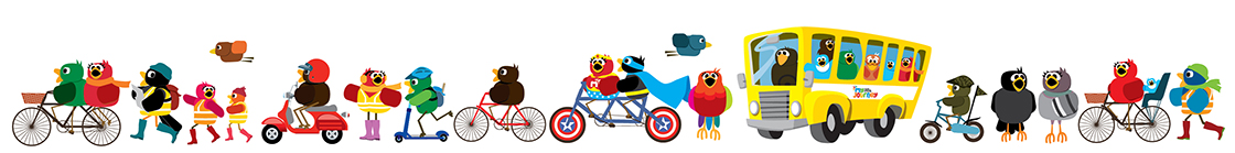 ALL BIRDS
