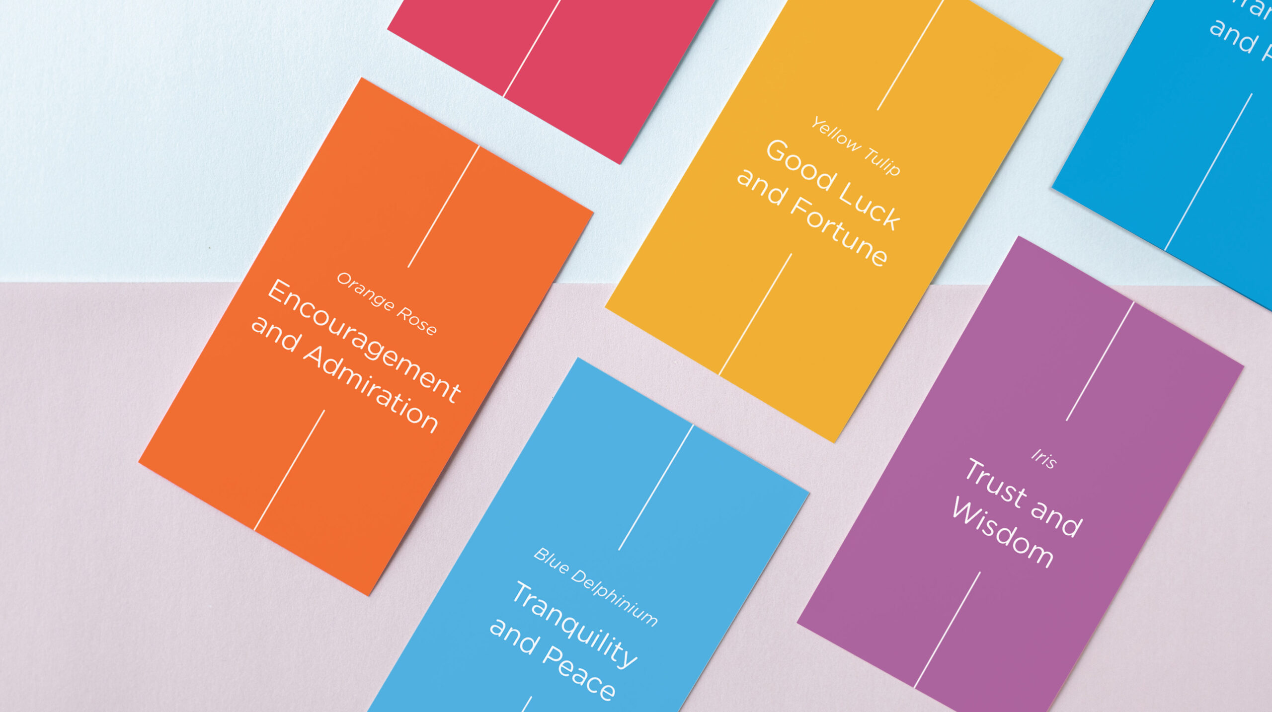 Business card and name card mockup
